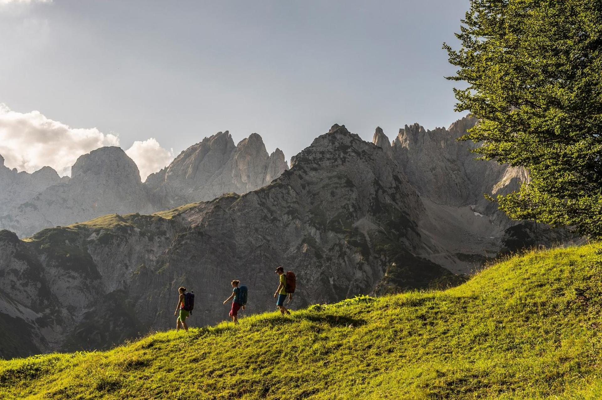 Hotel Alpenschloessl Зёлль Экстерьер фото